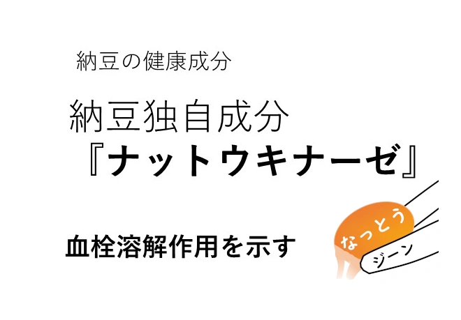 納豆の健康成分『ナットウキナーゼ』の秘密を徹底解説！実は熱に弱かった・・・