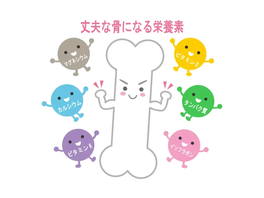 納豆のビタミンK2のすごい健康効果とは？骨粗しょう症だけでなく【動脈硬化】にも！