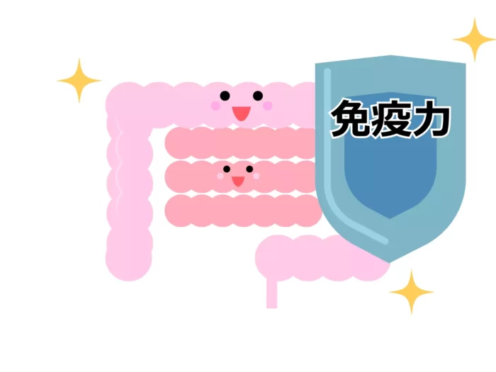 【徹底解説】納豆を食べると『アレルギー低減』が期待できる理由！