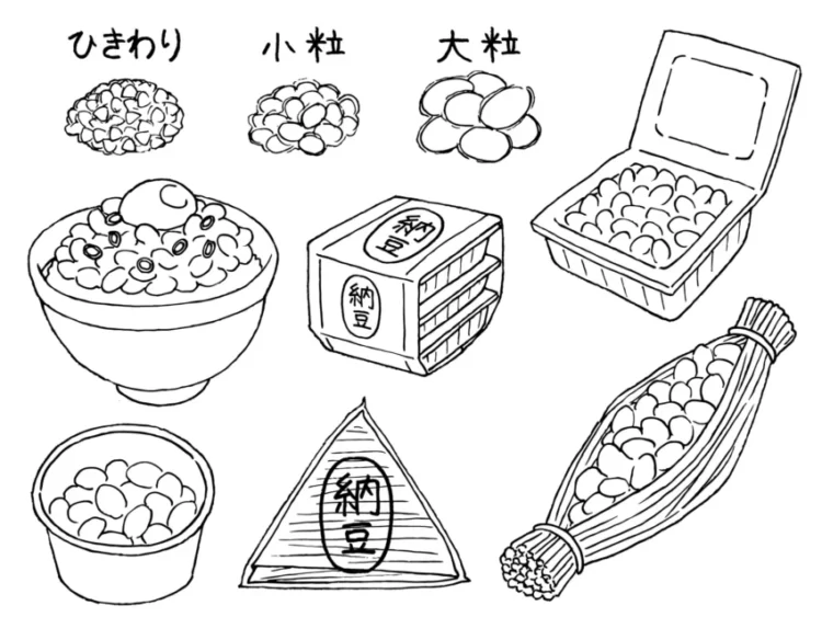 【納豆の栄養-03】健康成分（セレン／ビタミンB2／レシチン／コリン）と効果