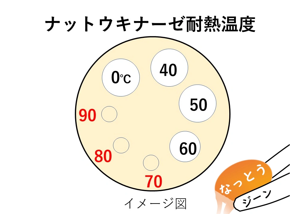 ナットウキナーゼは熱に弱い
