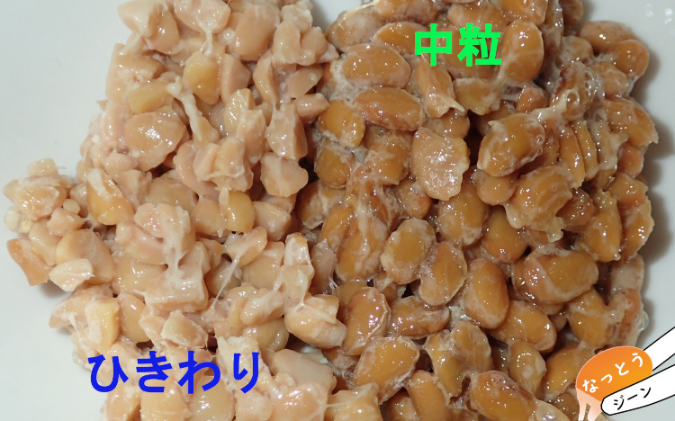 【2025年】4種の豆で手作り納豆に挑戦｜ポイントとおすすめの方法を紹介！